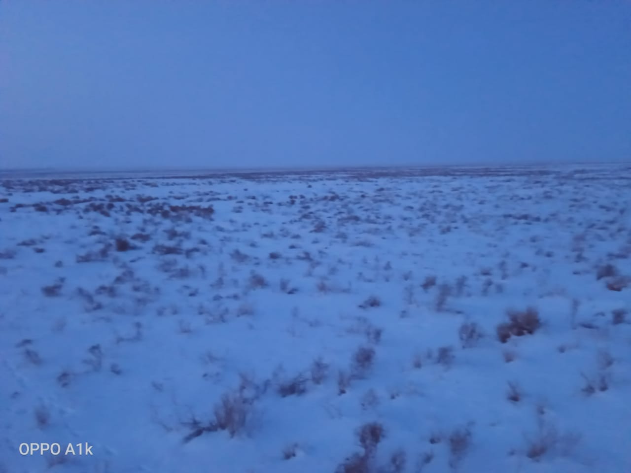 img-1