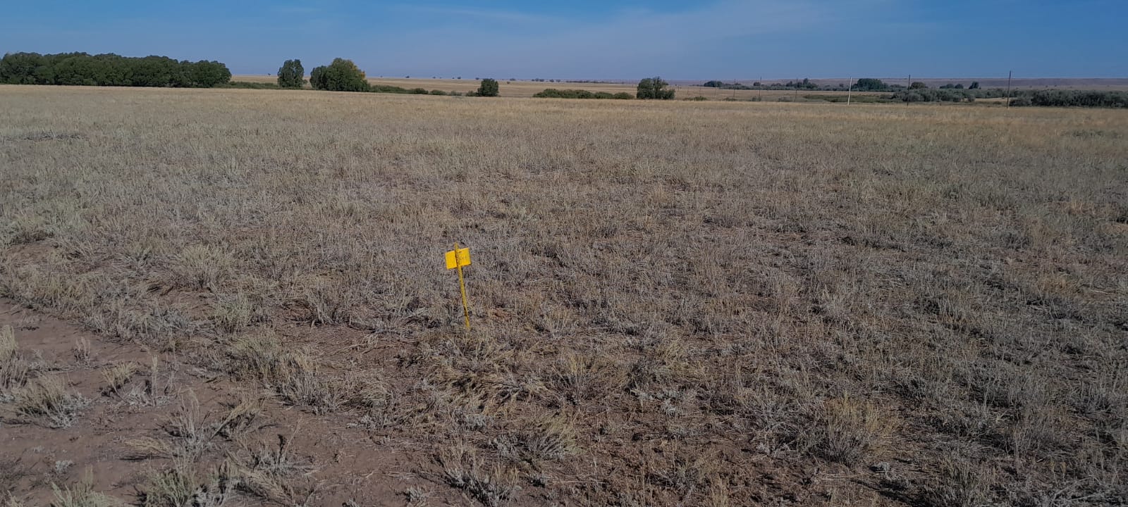img-2