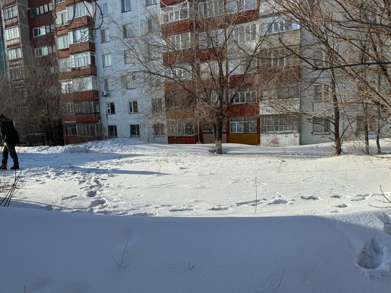 img-3