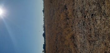 img-4