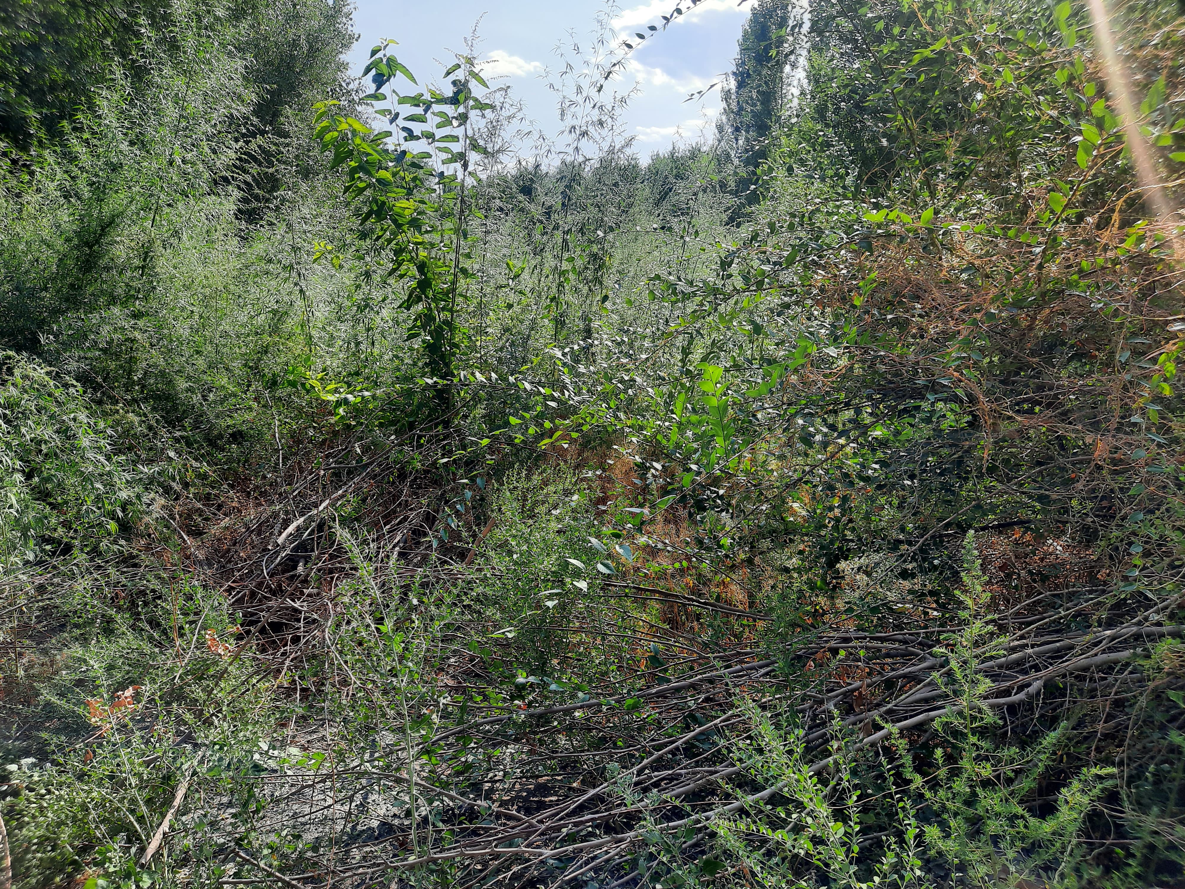 img-2