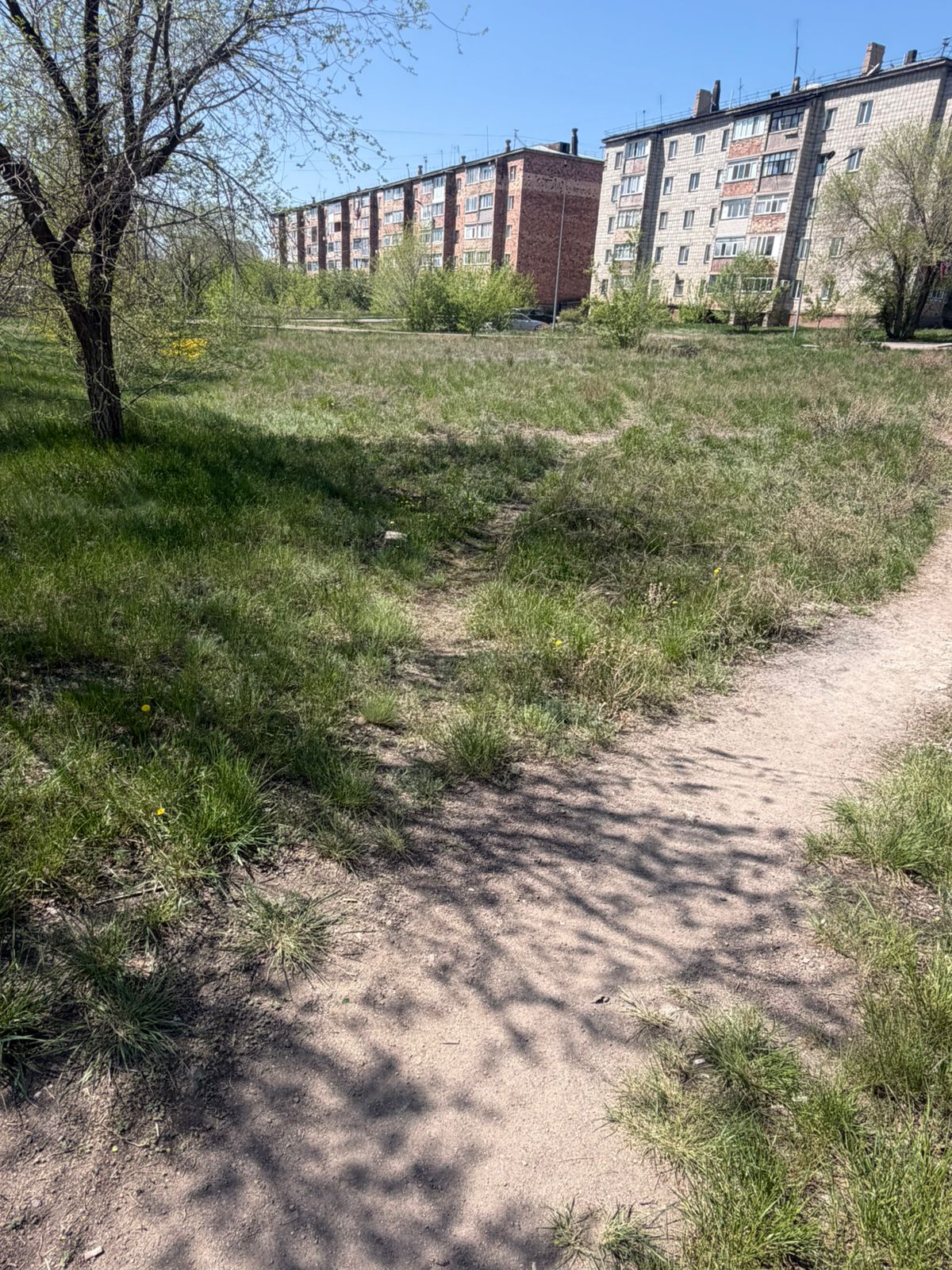 img-2