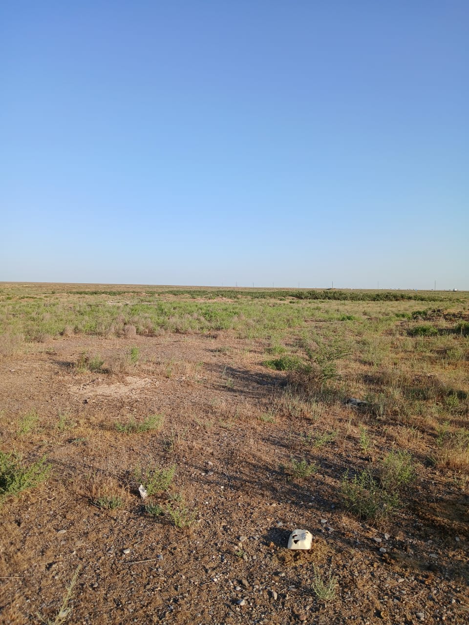 img-2