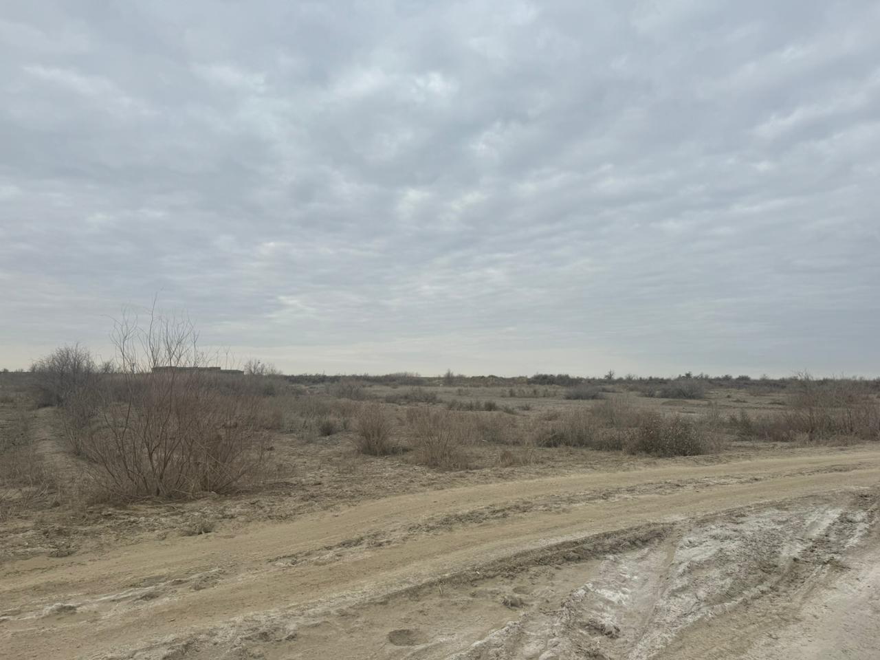 img-2