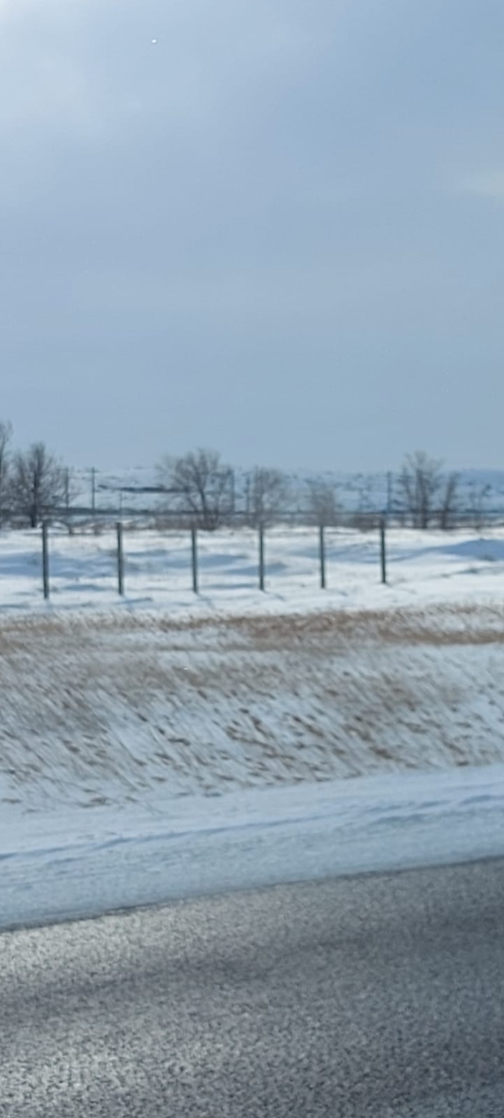 img-0