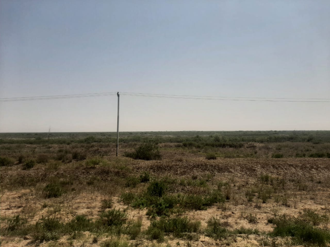 img-3