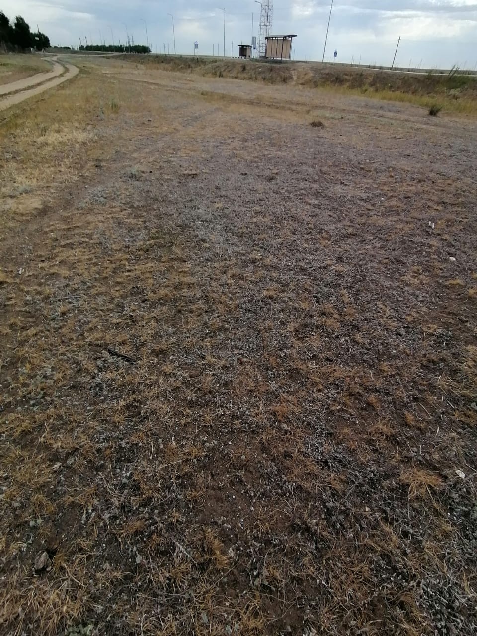 img-1