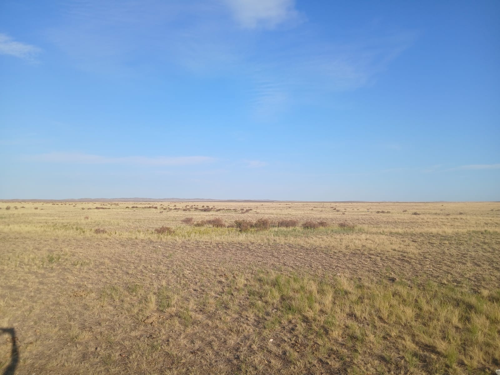 img-3