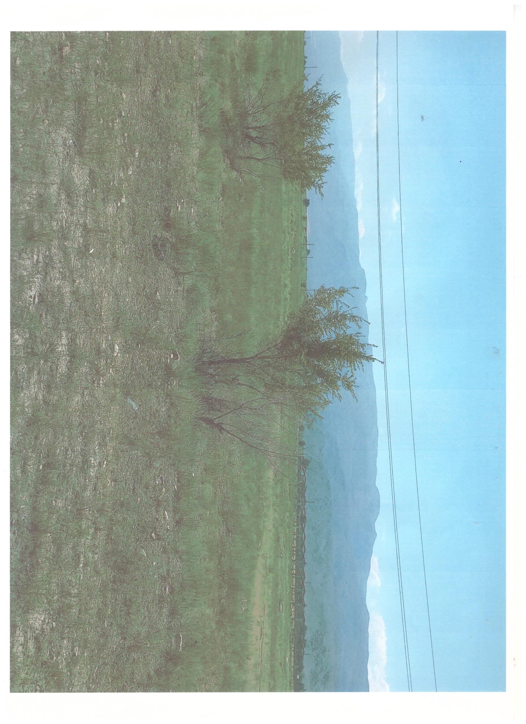 img-1