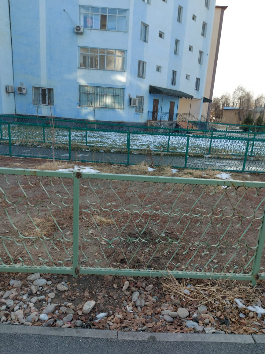 img-4