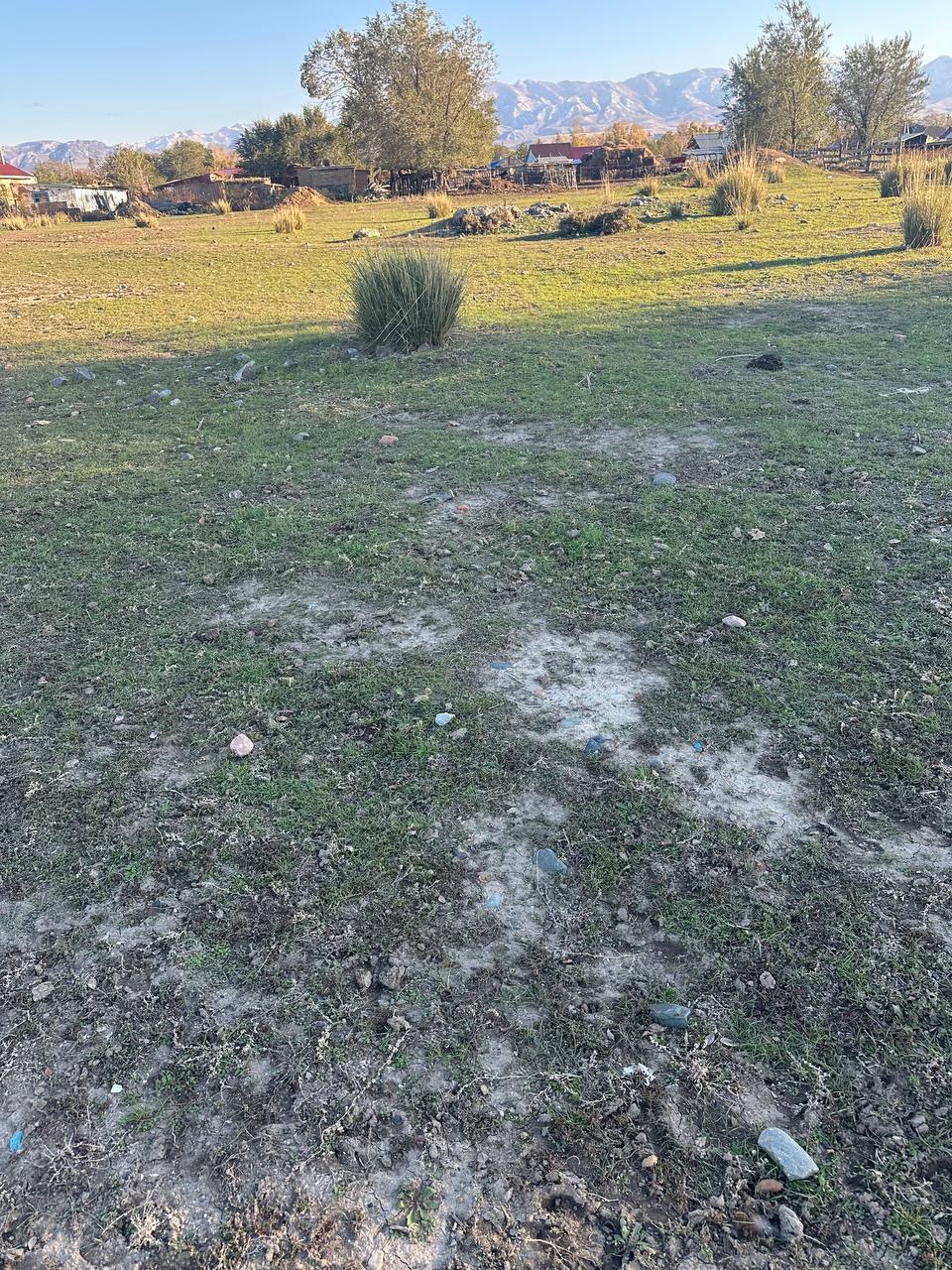 img-0