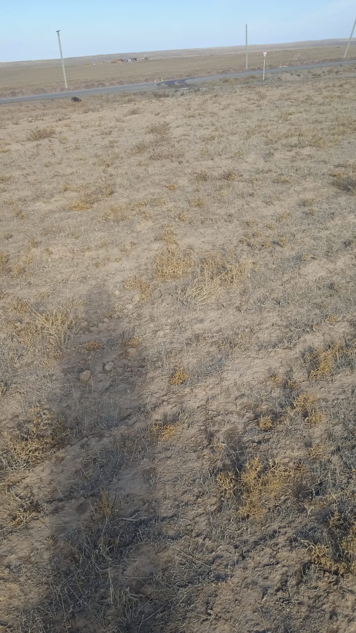 img-1
