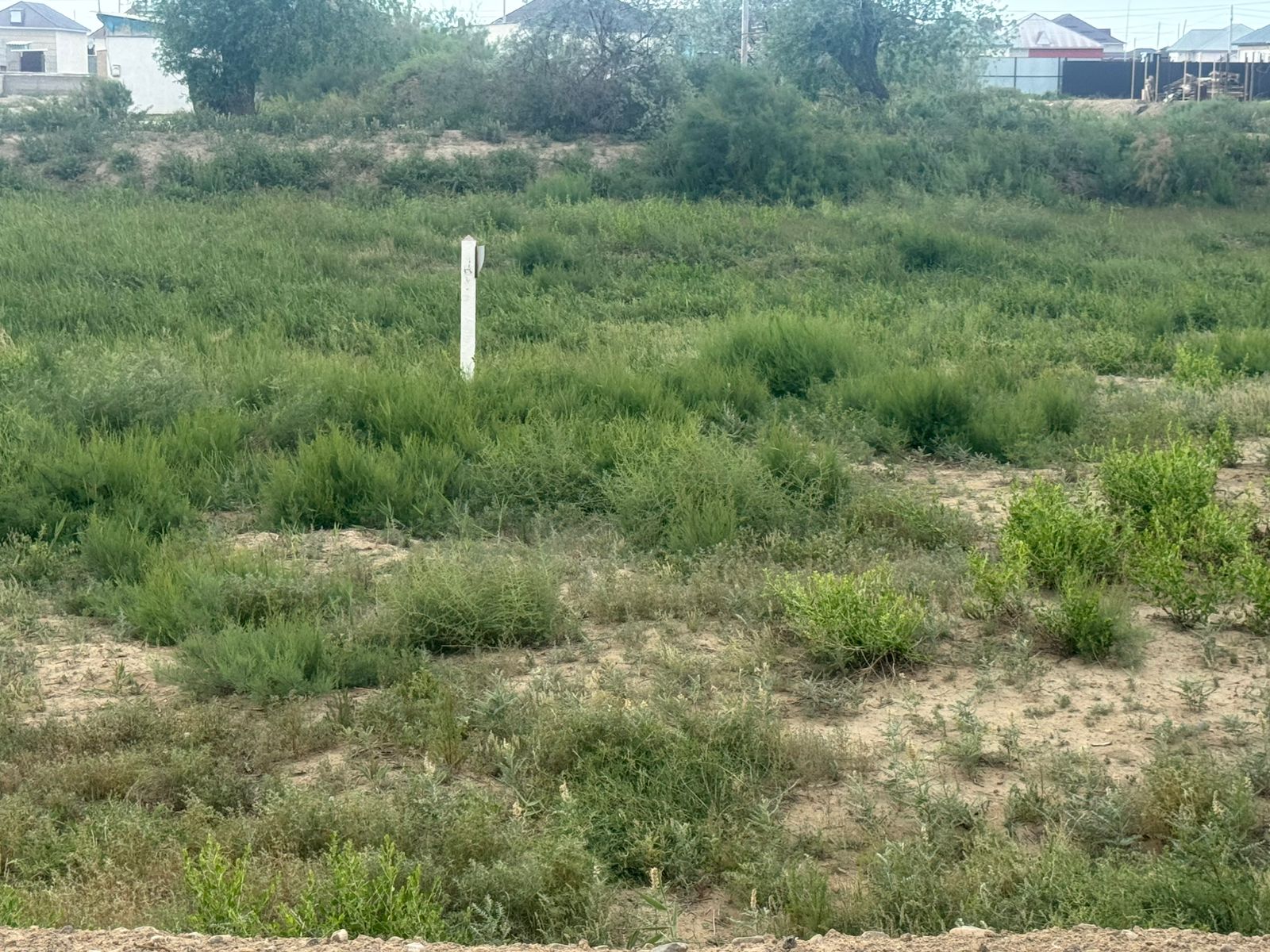 img-2