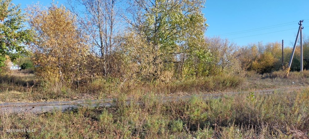 img-2