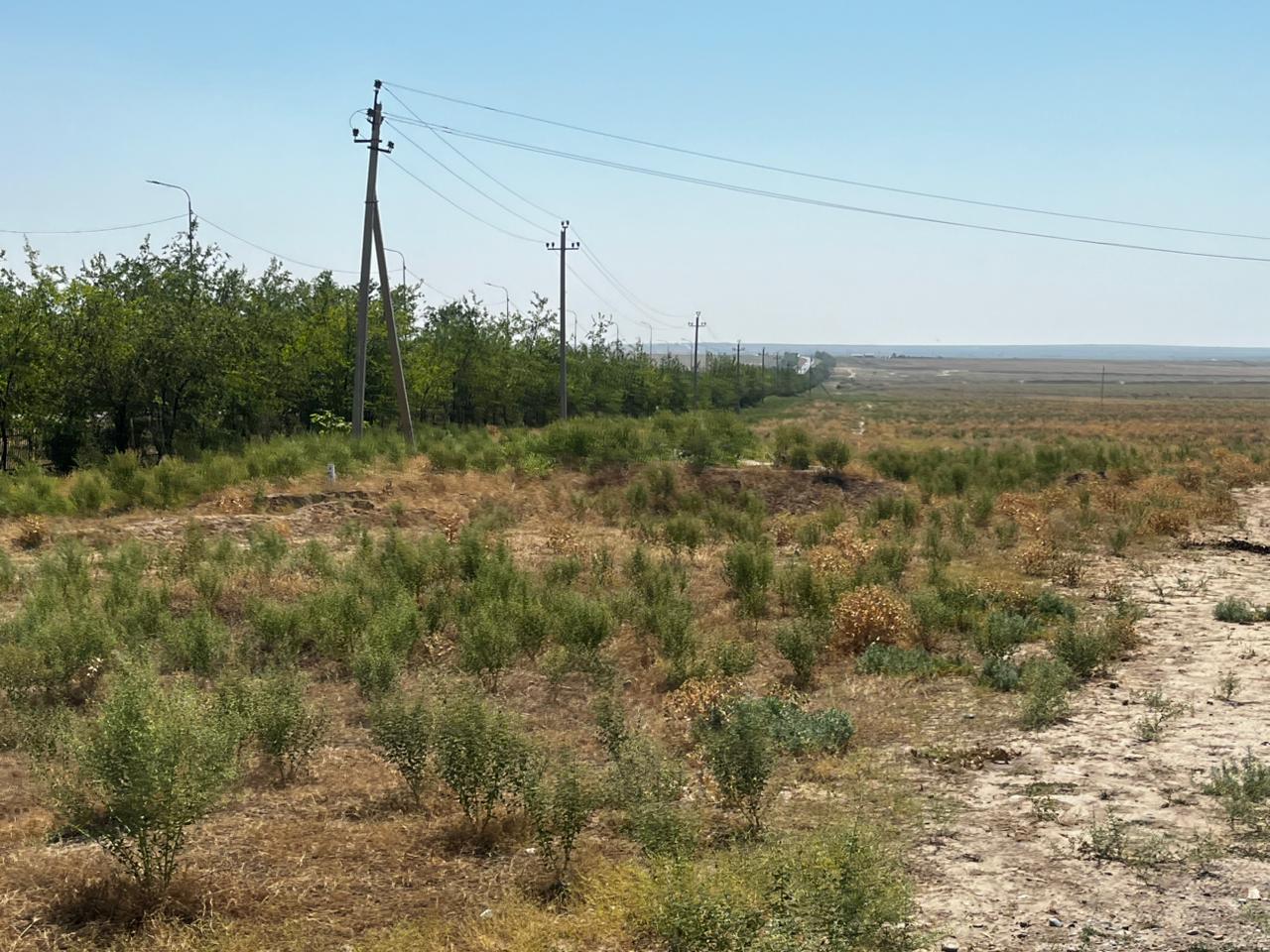 img-3