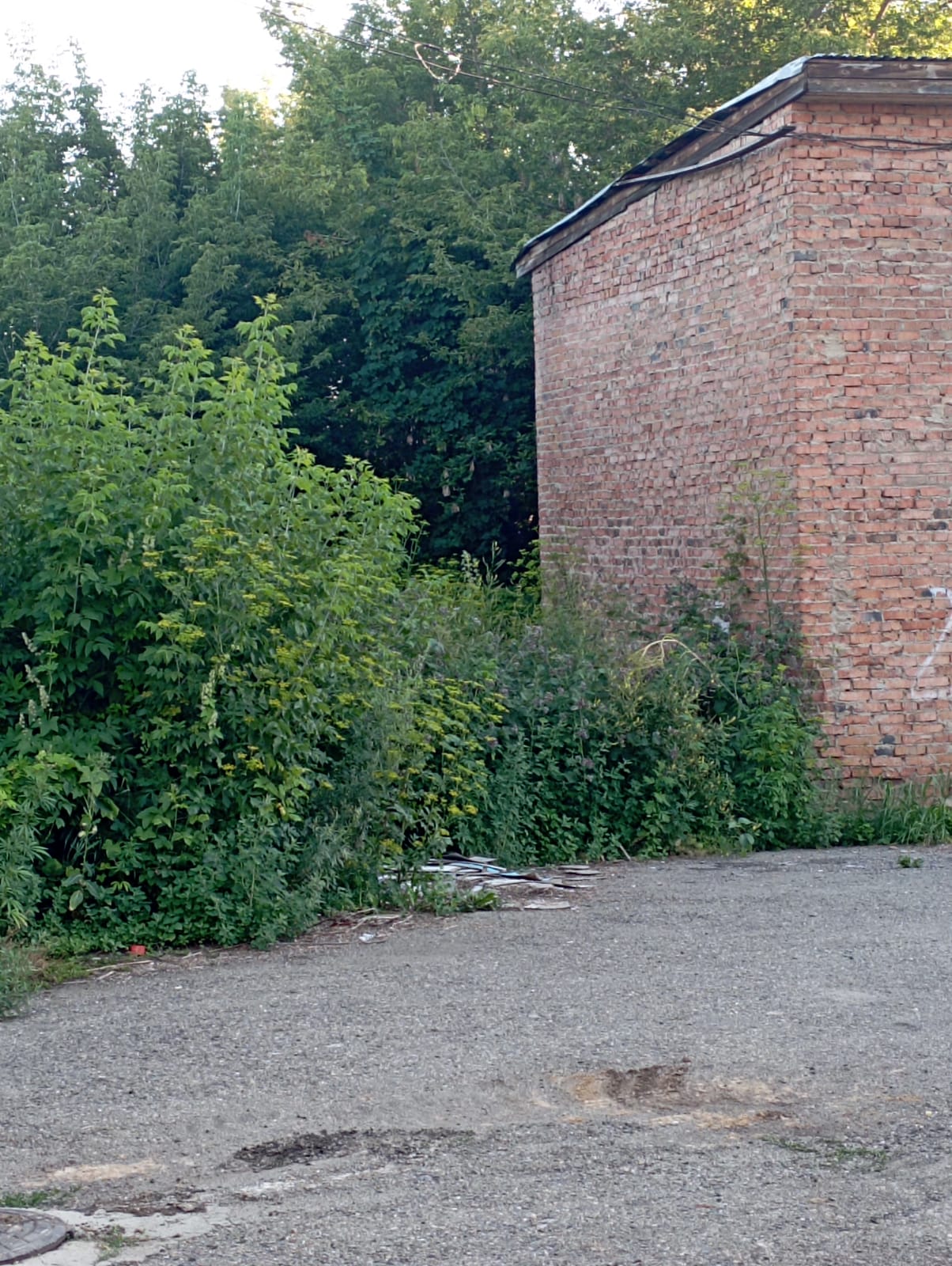 img-2