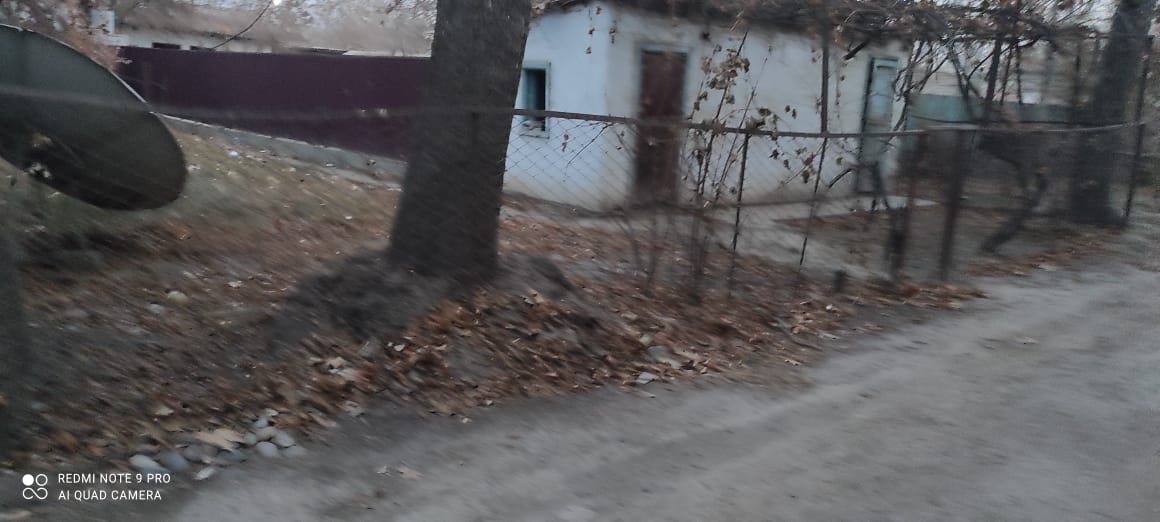 img-1