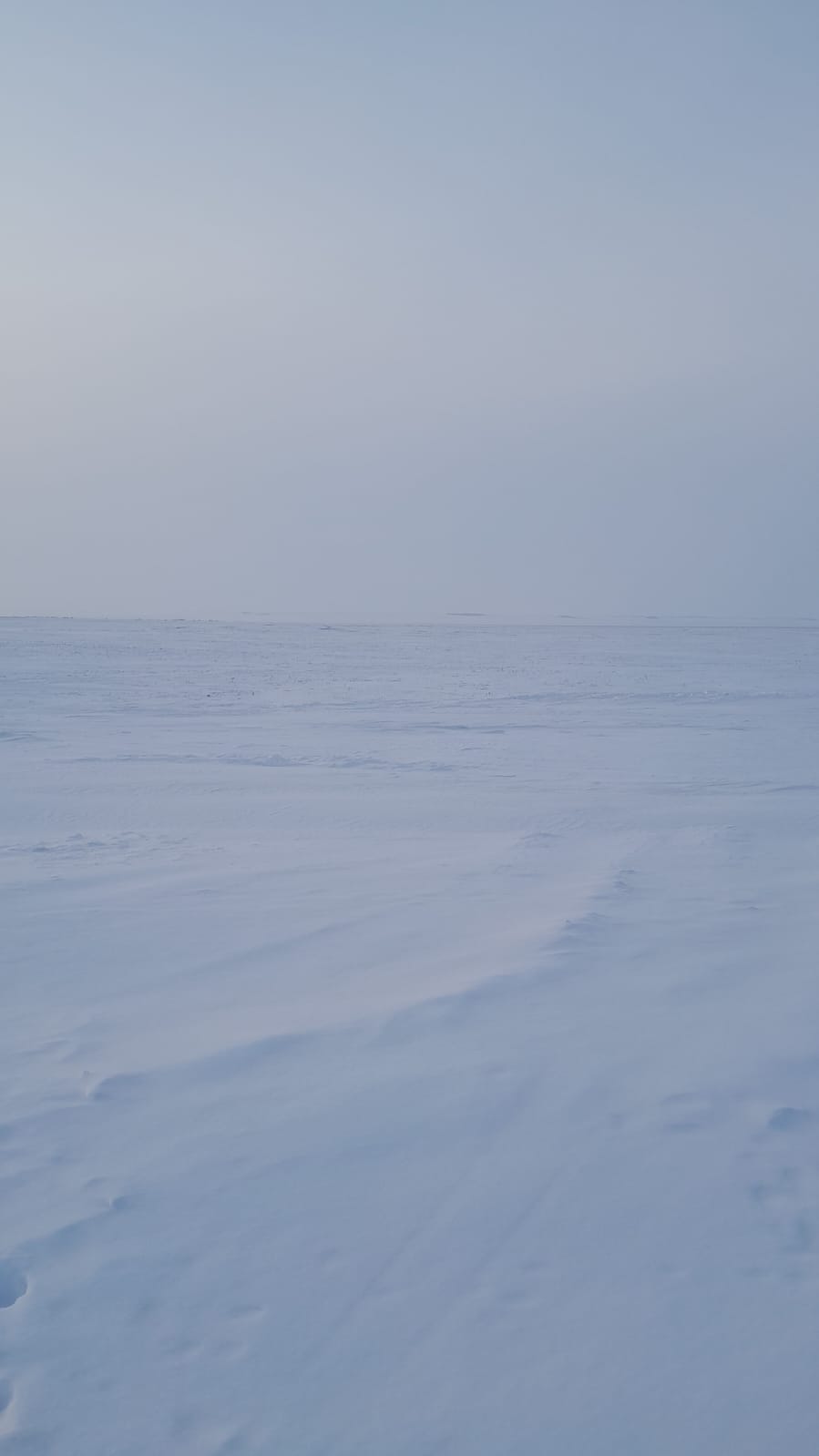img-4
