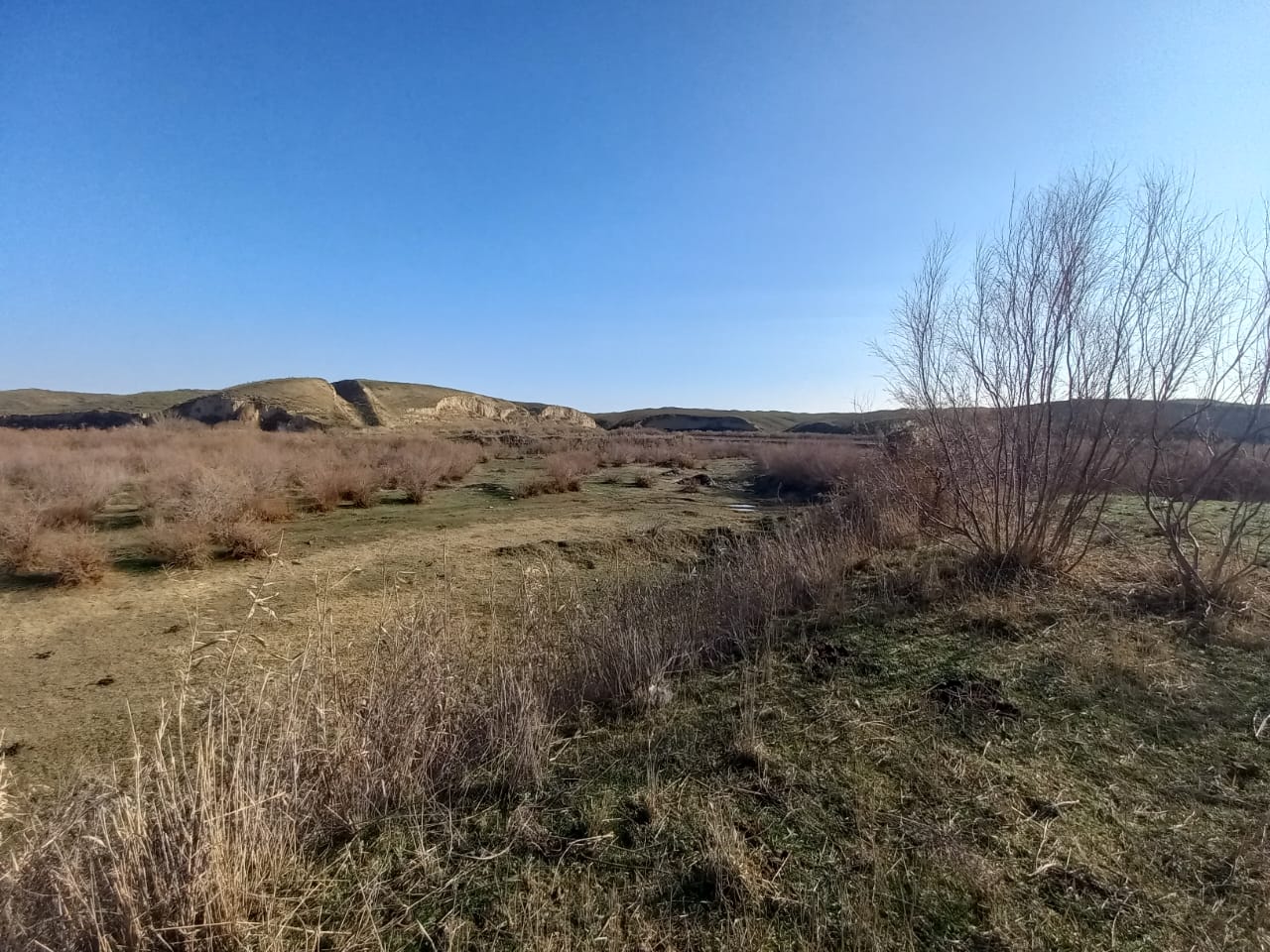 img-0