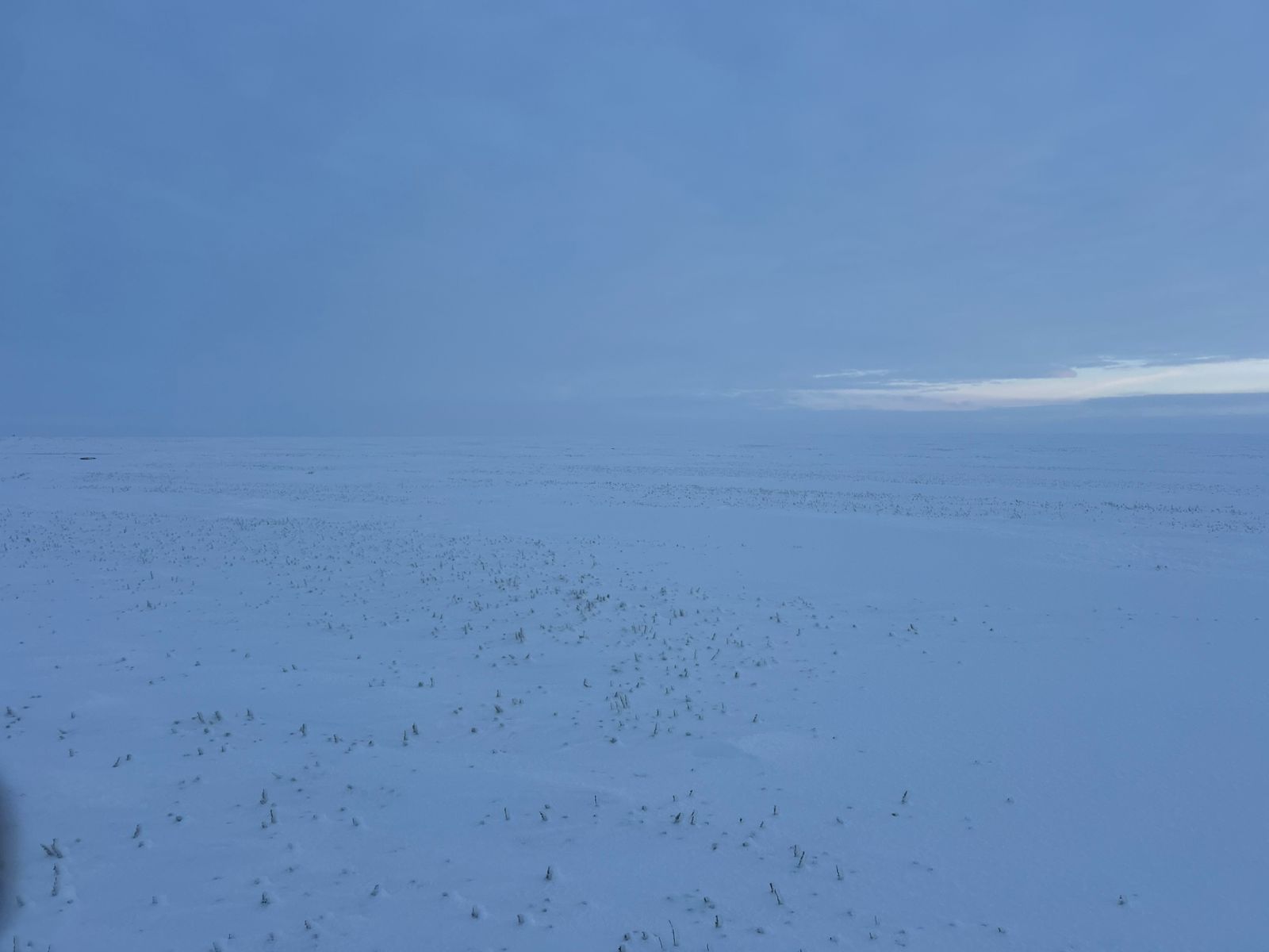 img-2