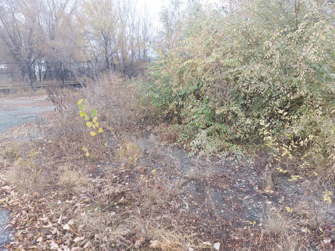 img-4