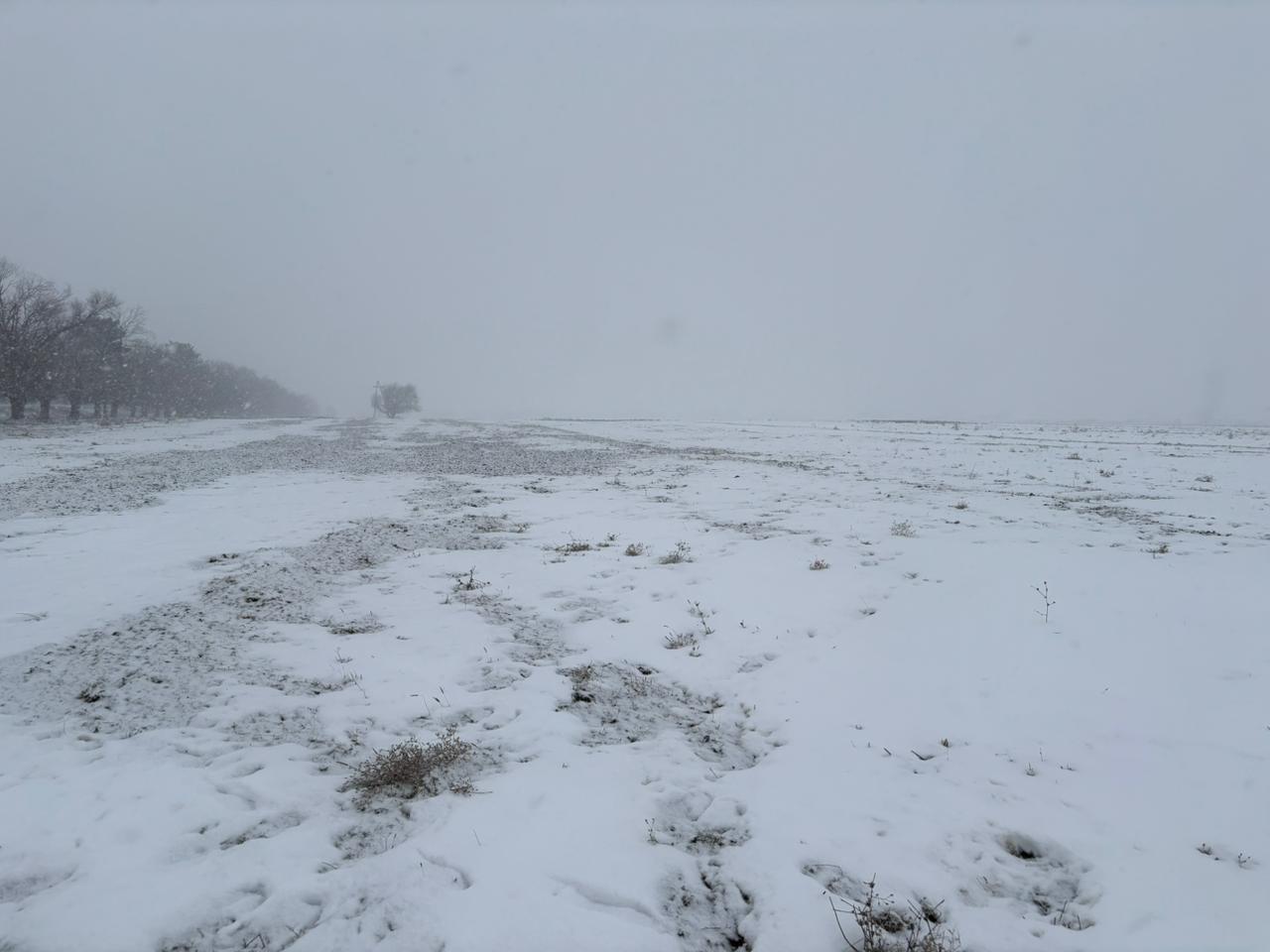 img-1