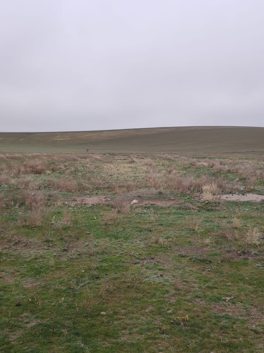 img-4