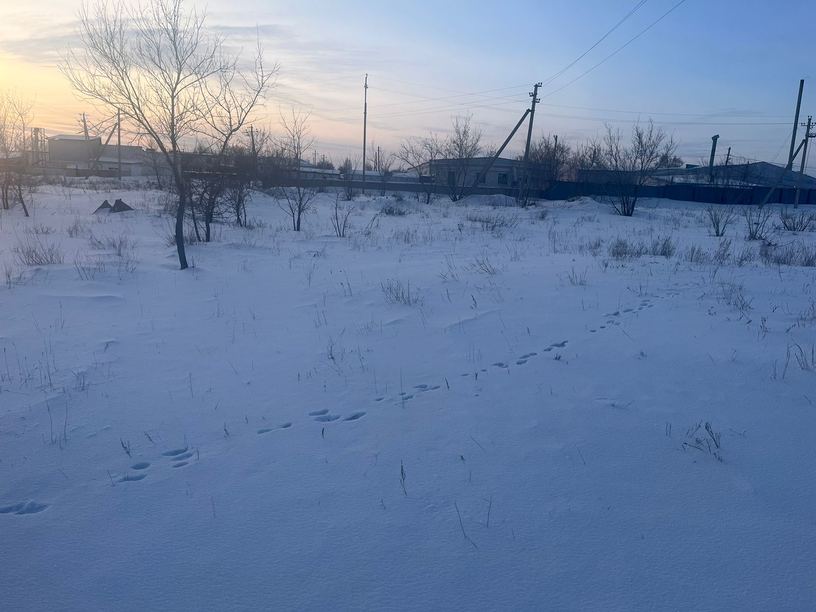 img-0