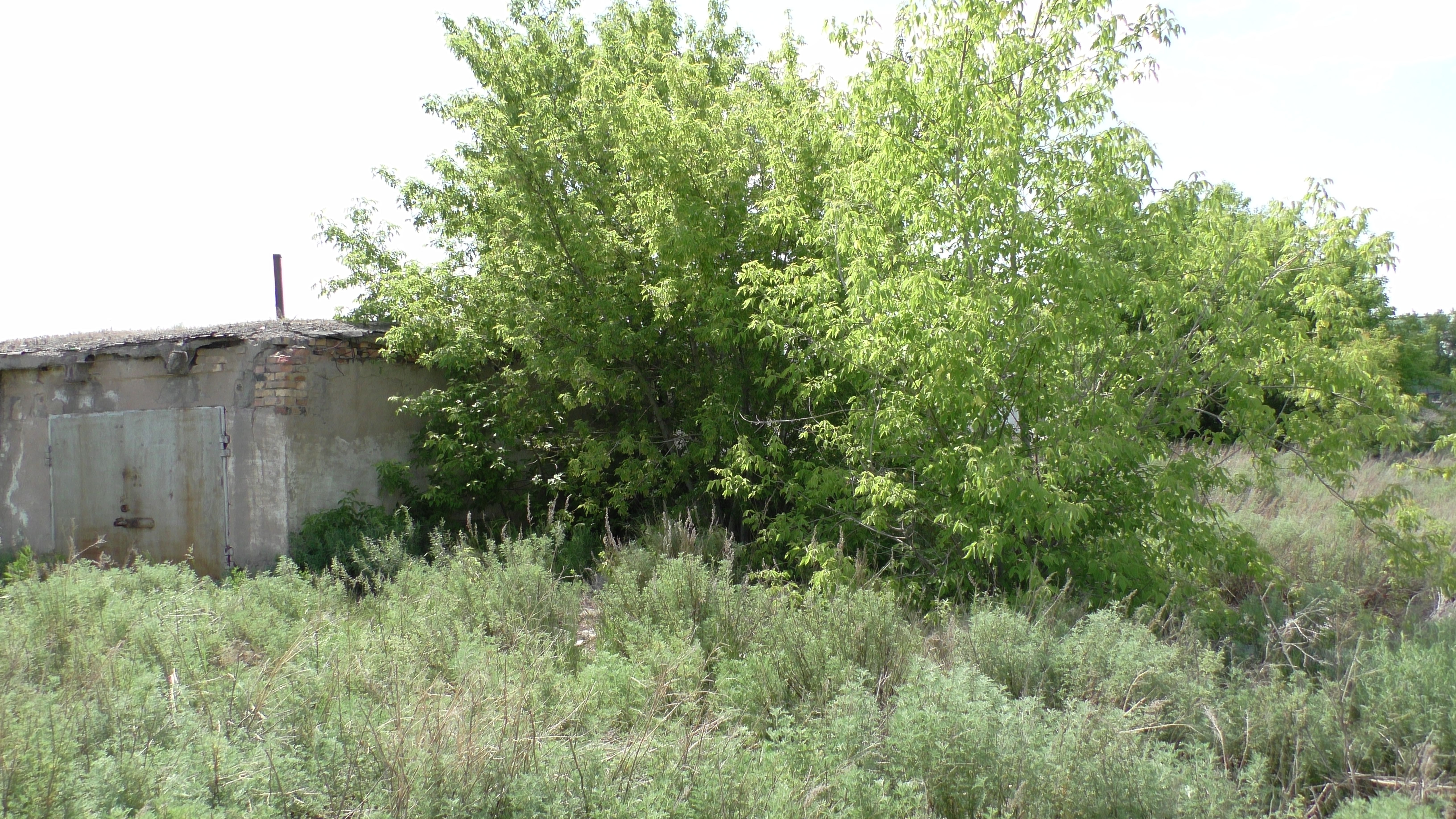 img-0