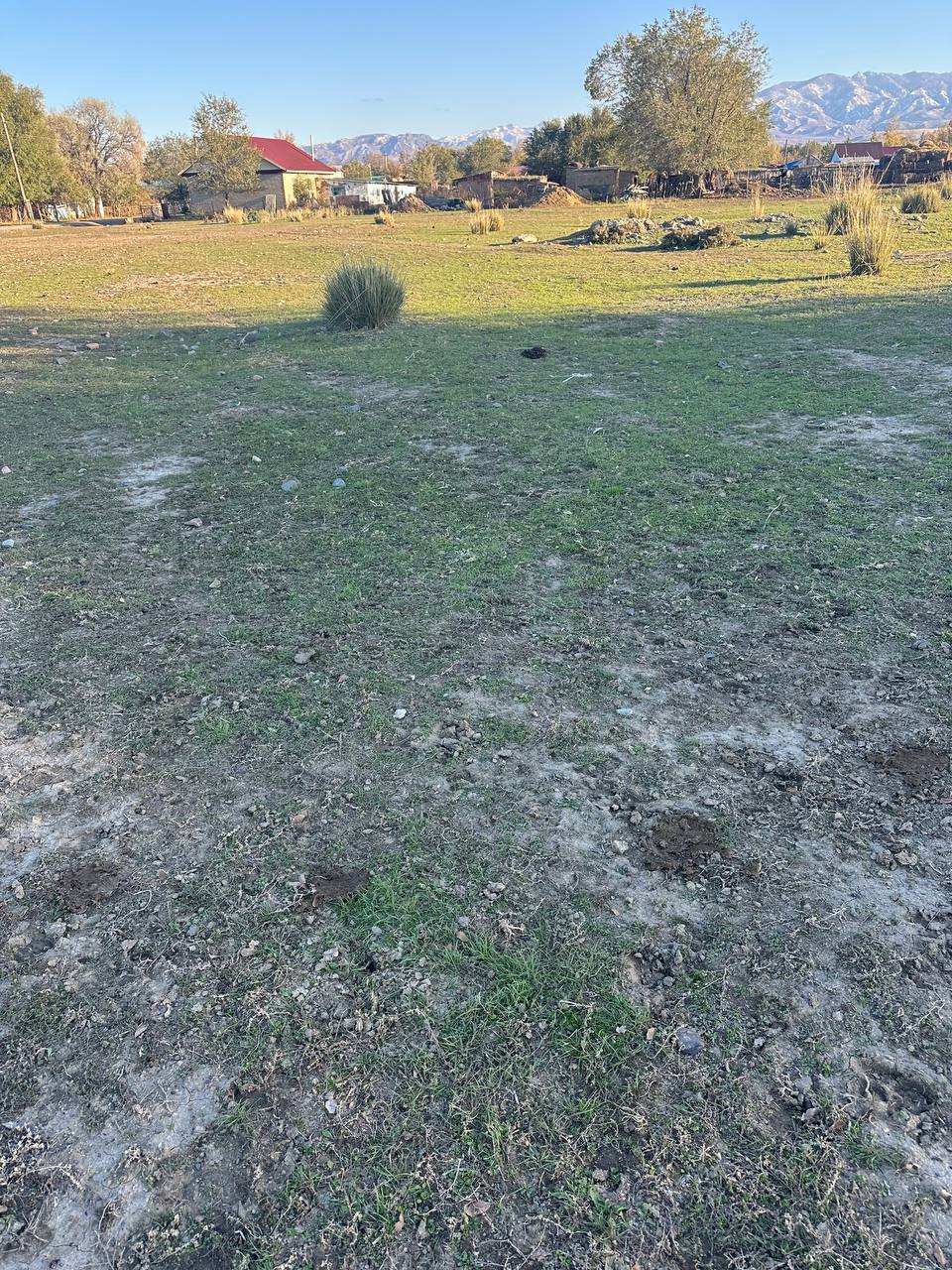 img-1