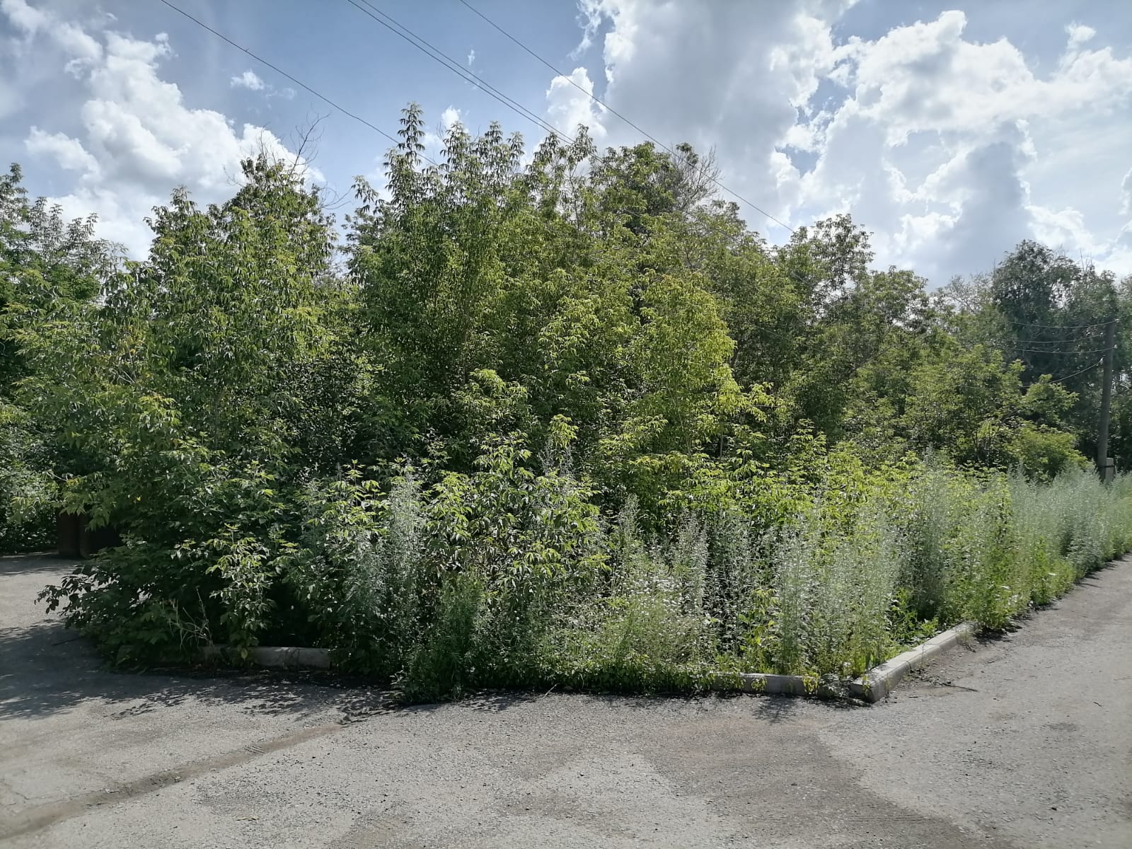 img-2