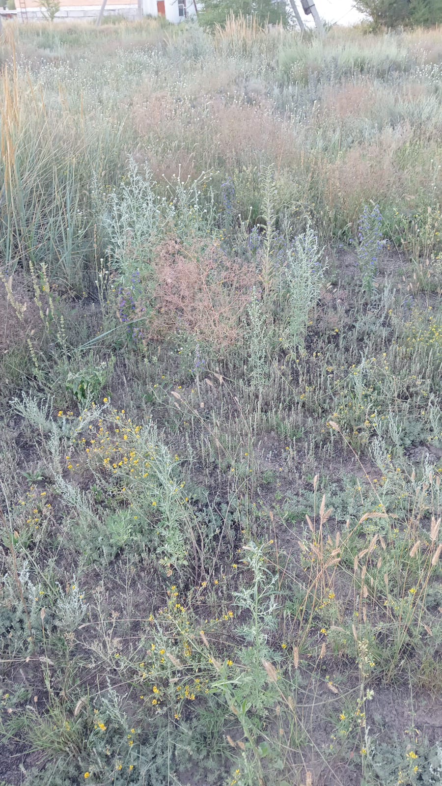 img-2