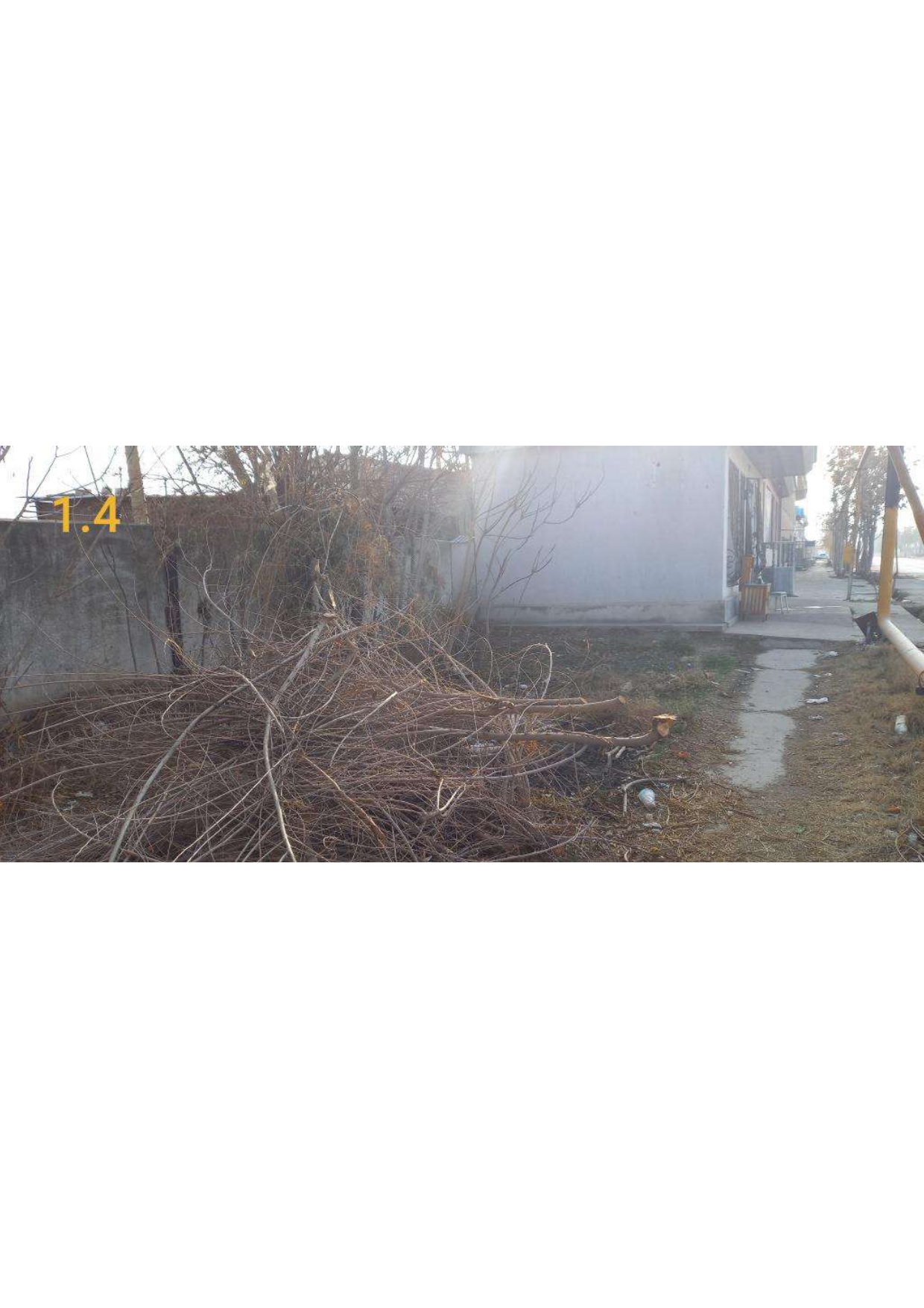 img-3
