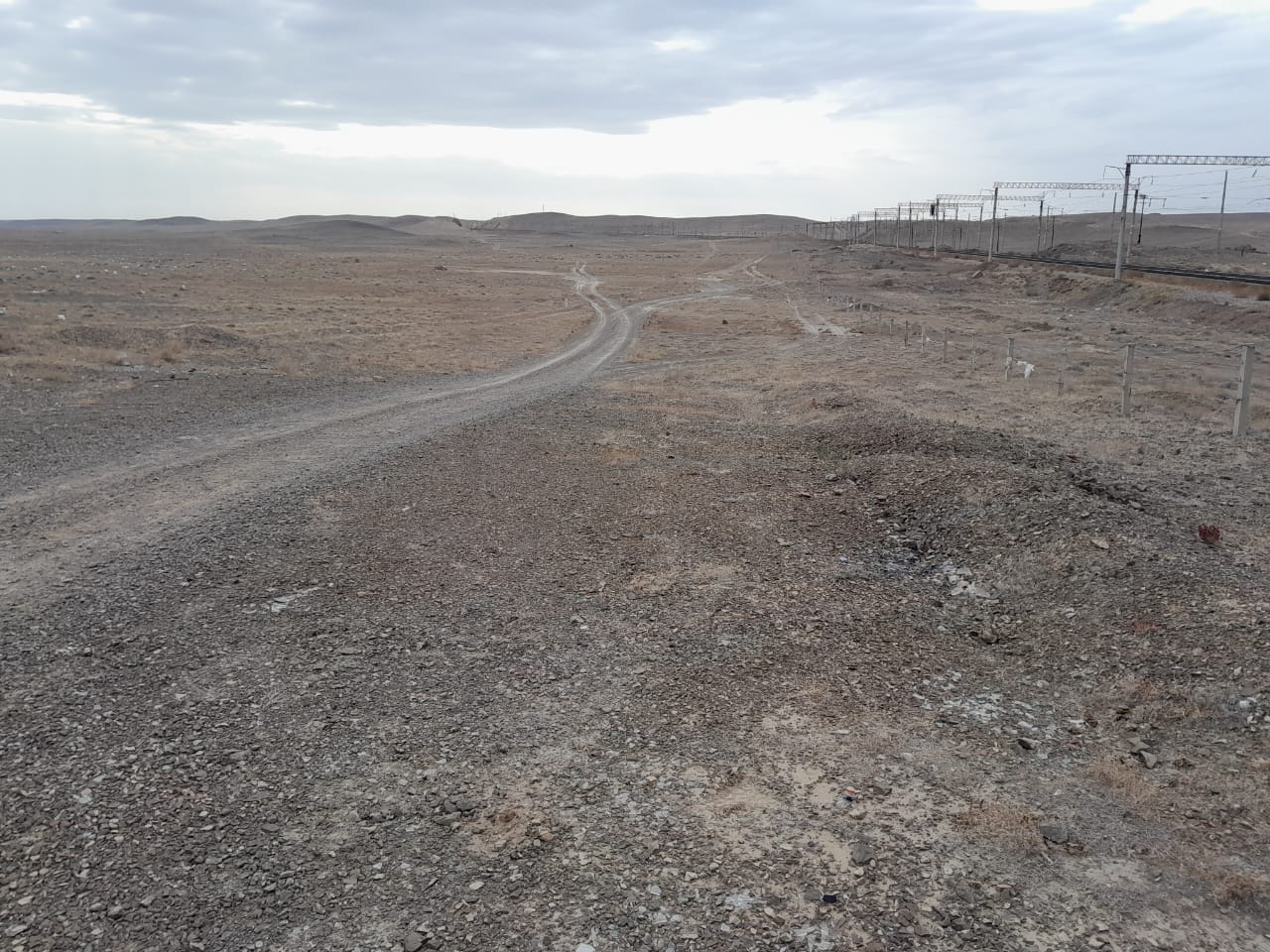 img-3