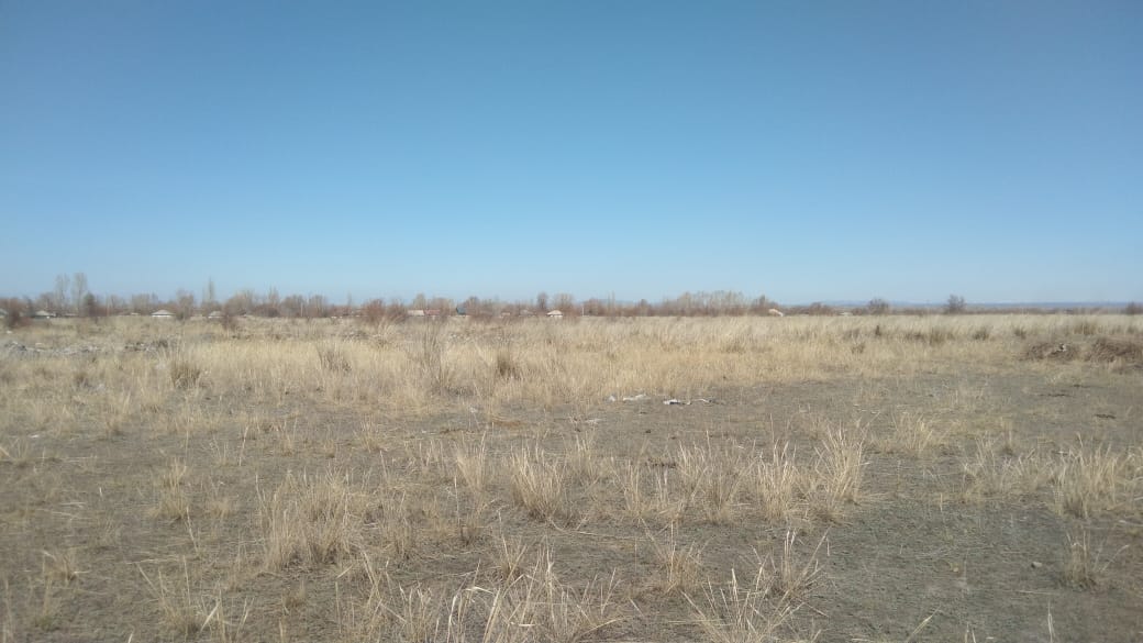 img-2