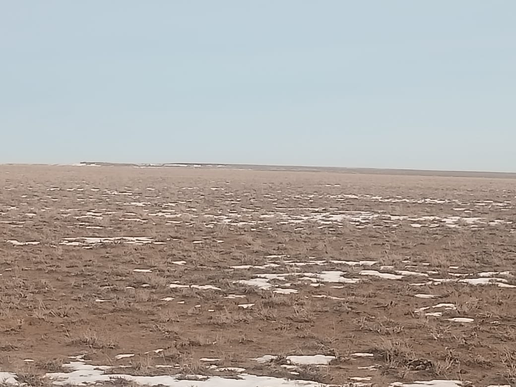 img-3