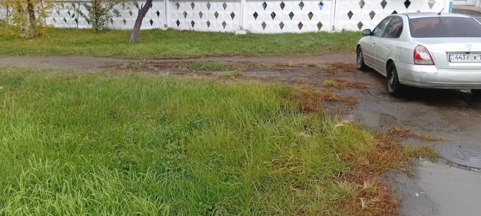 img-2