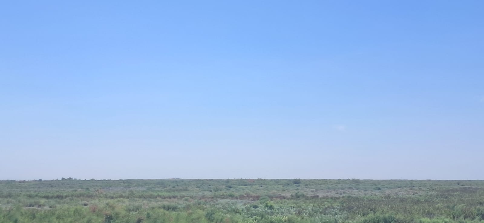 img-2