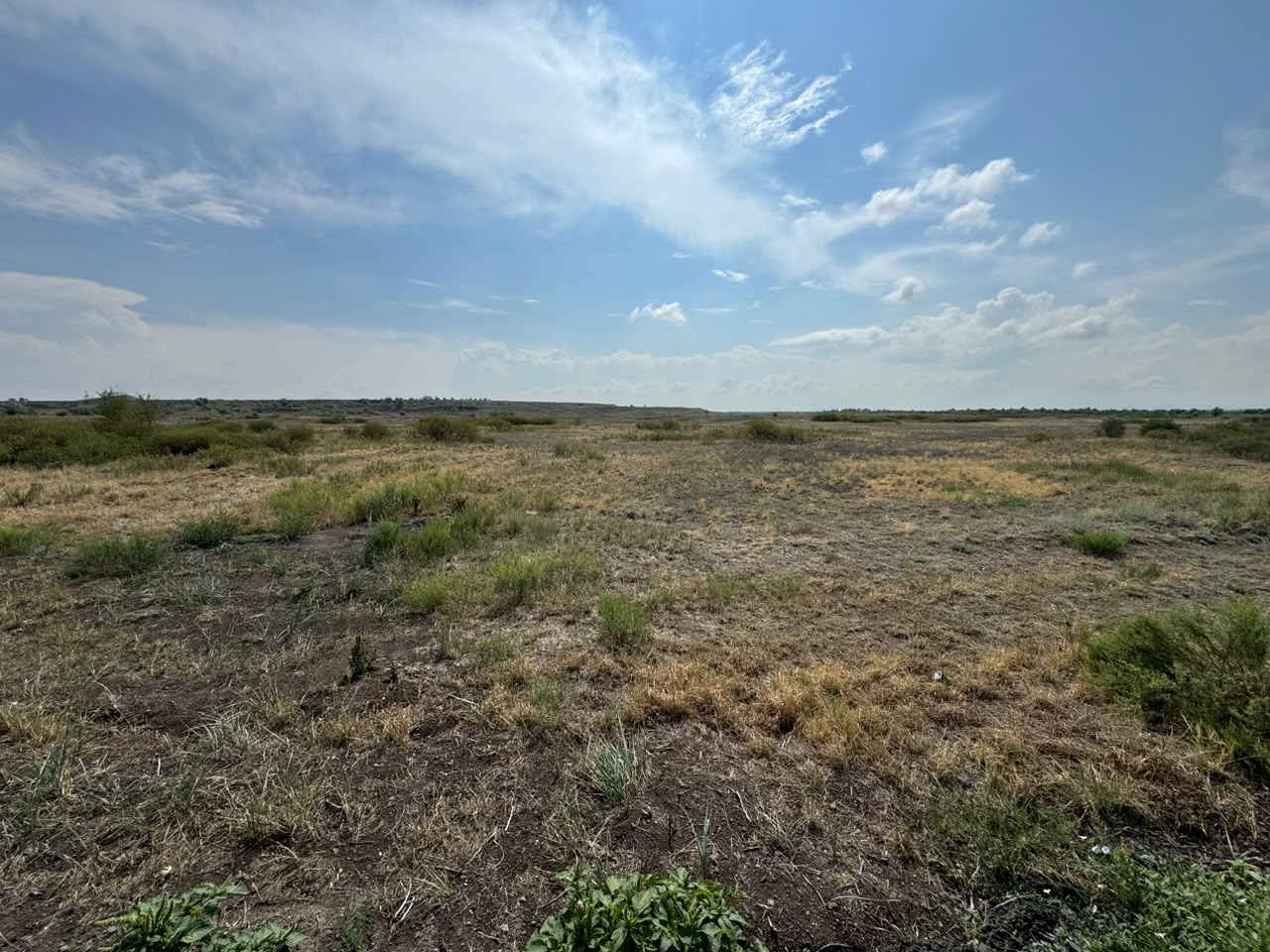 img-6