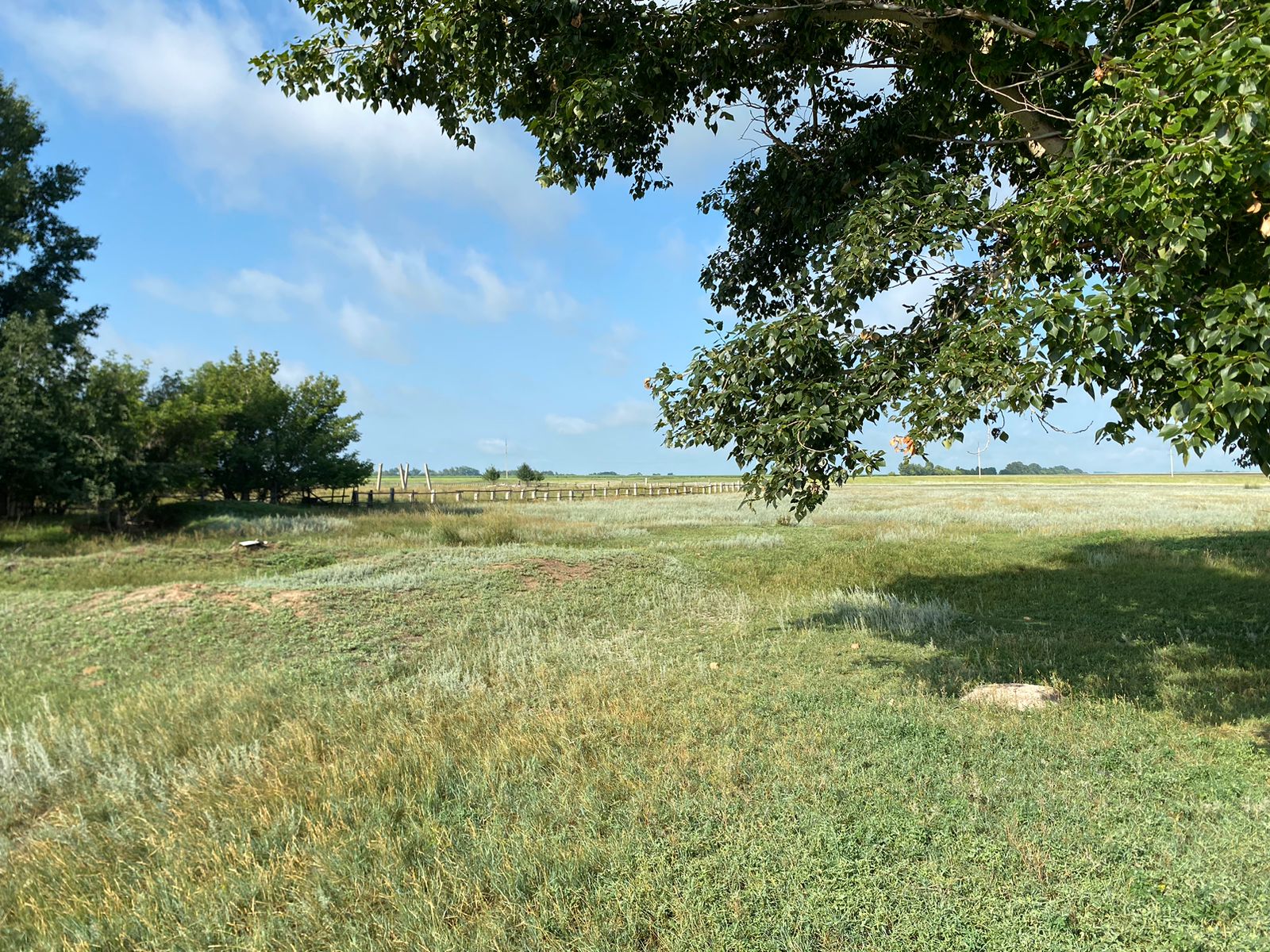 img-1