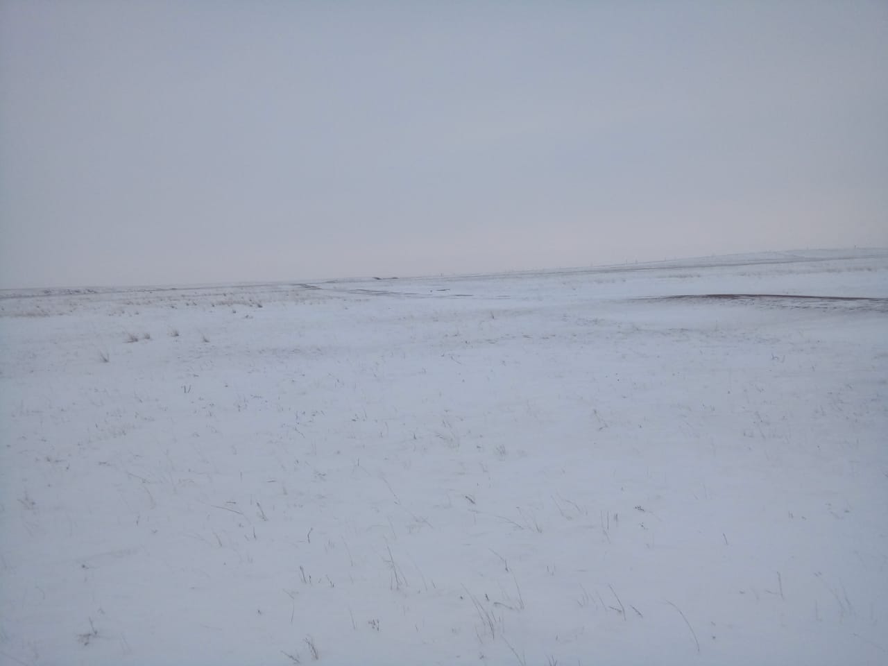 img-1
