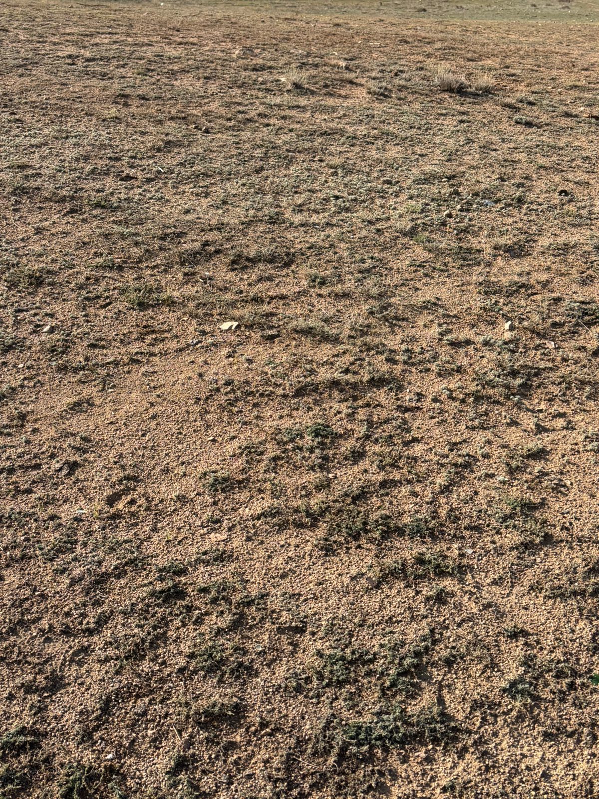 img-2