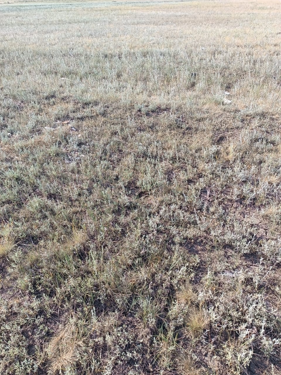 img-0