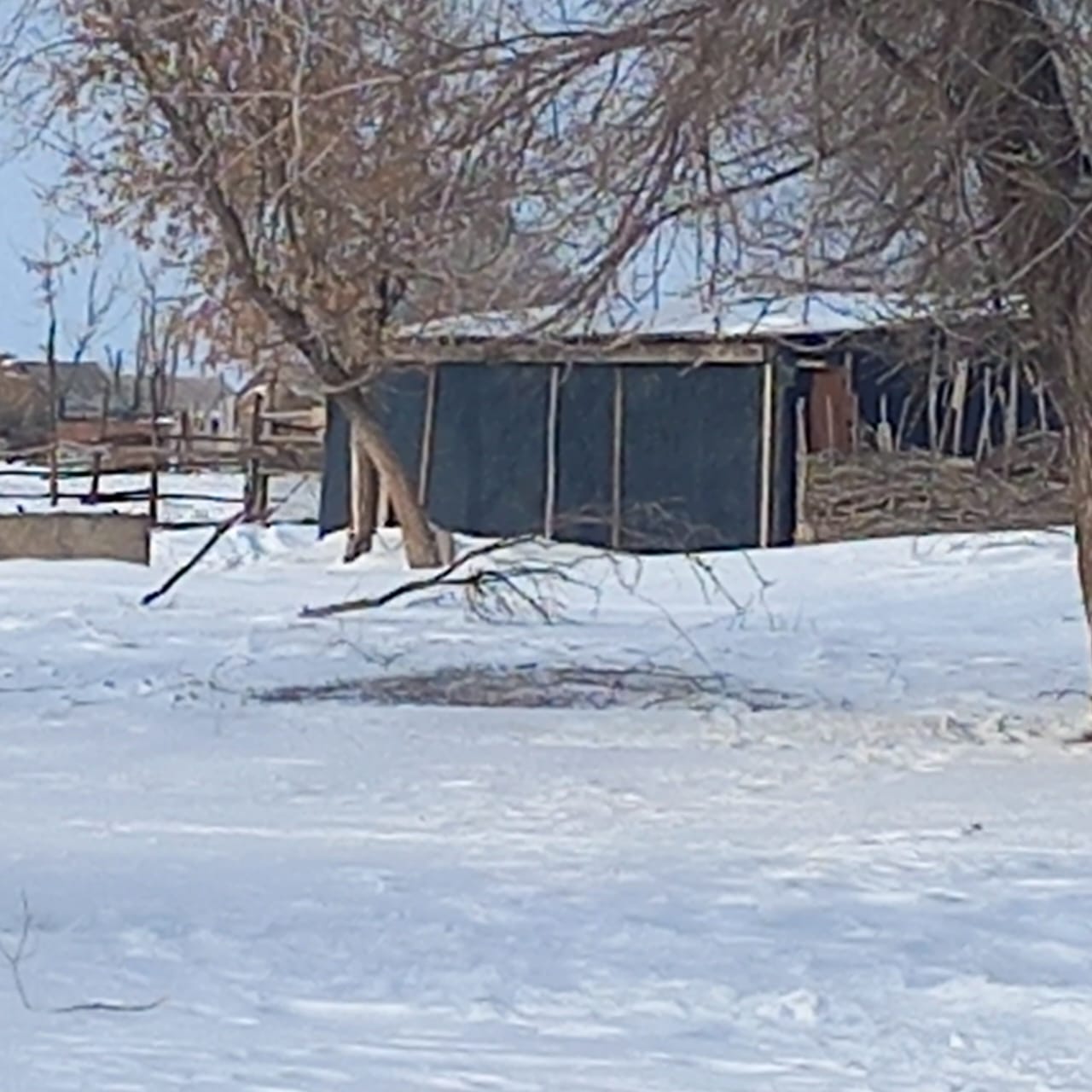 img-3