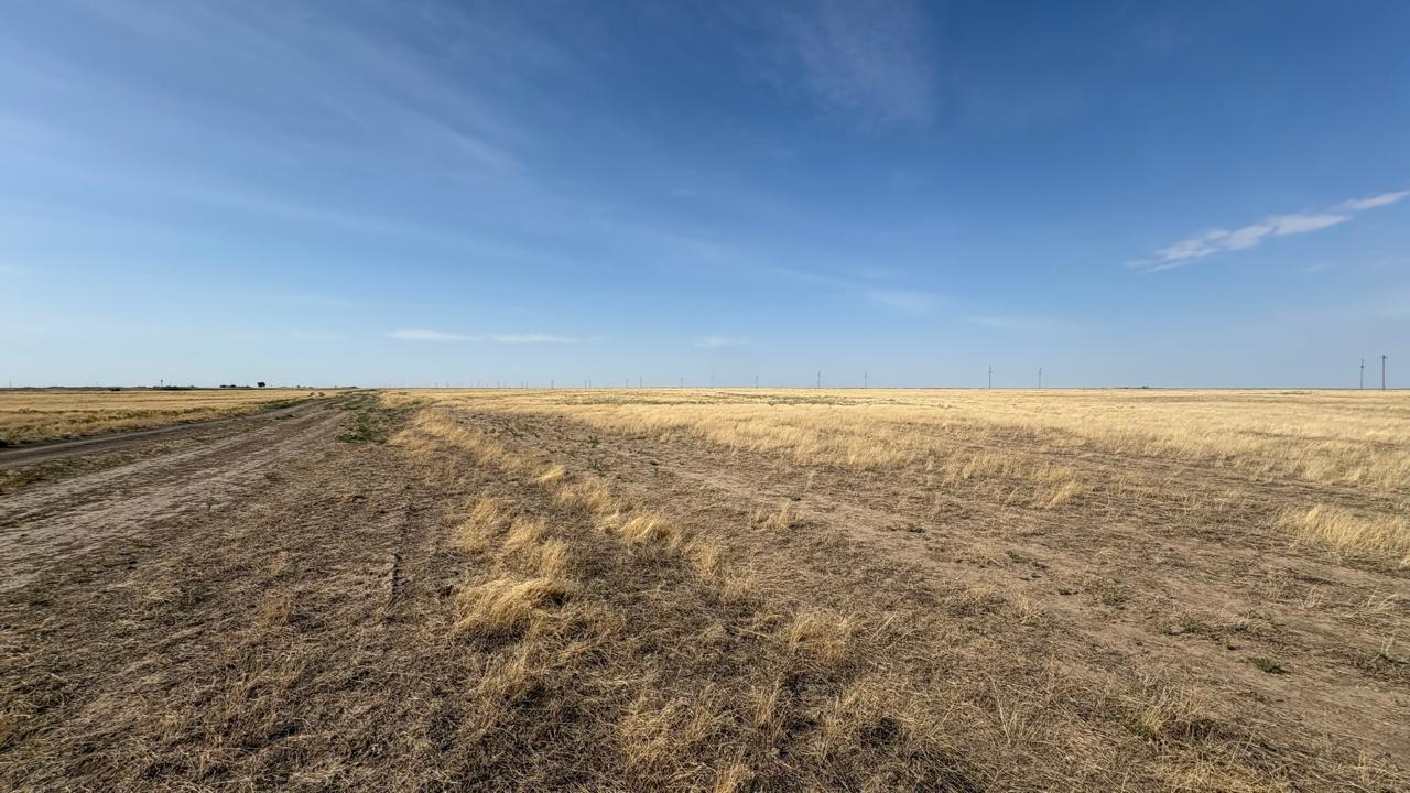 img-0