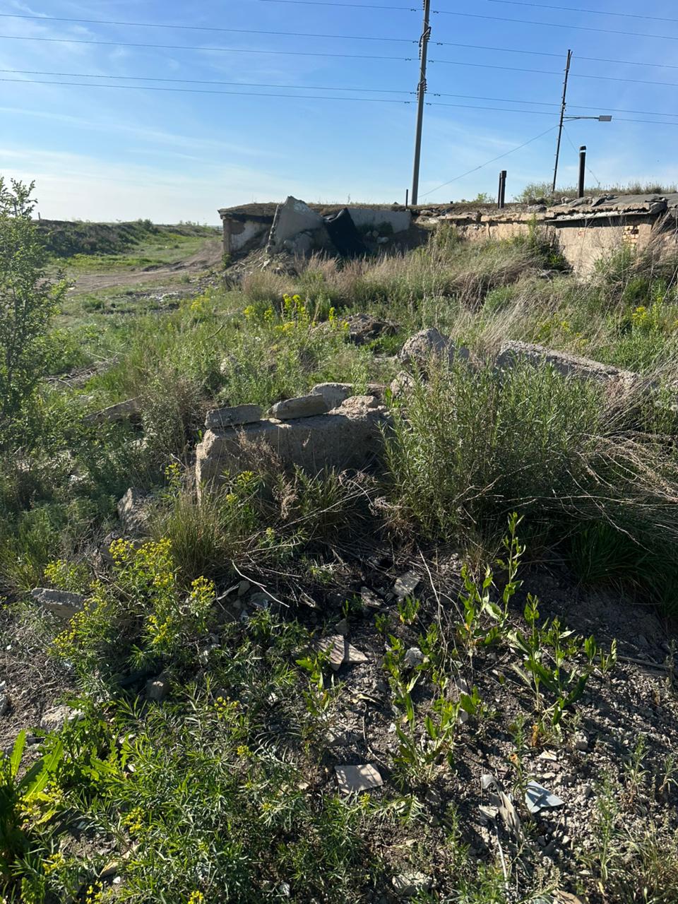 img-2