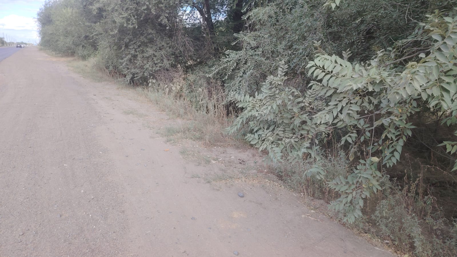 img-3