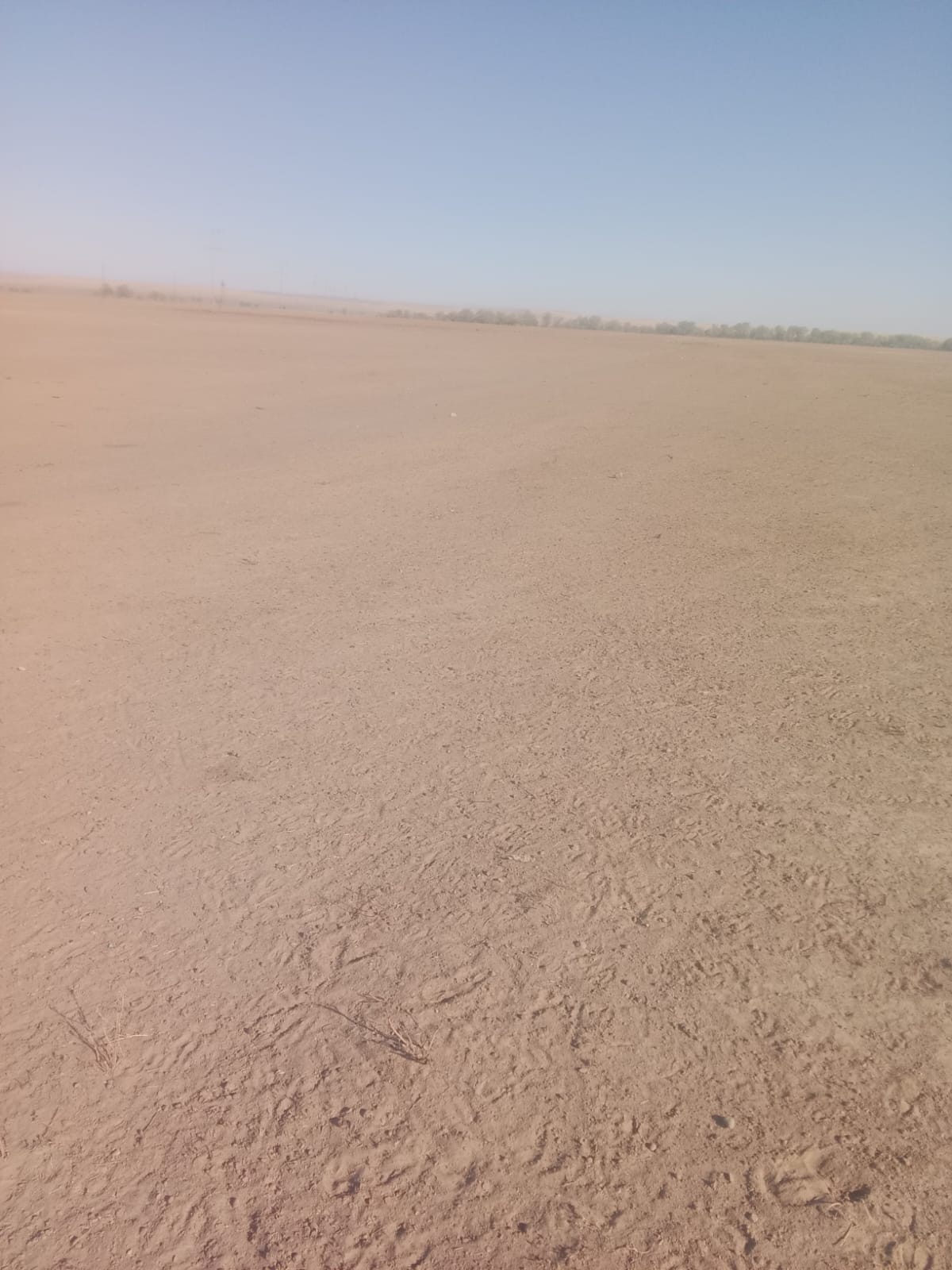 img-0