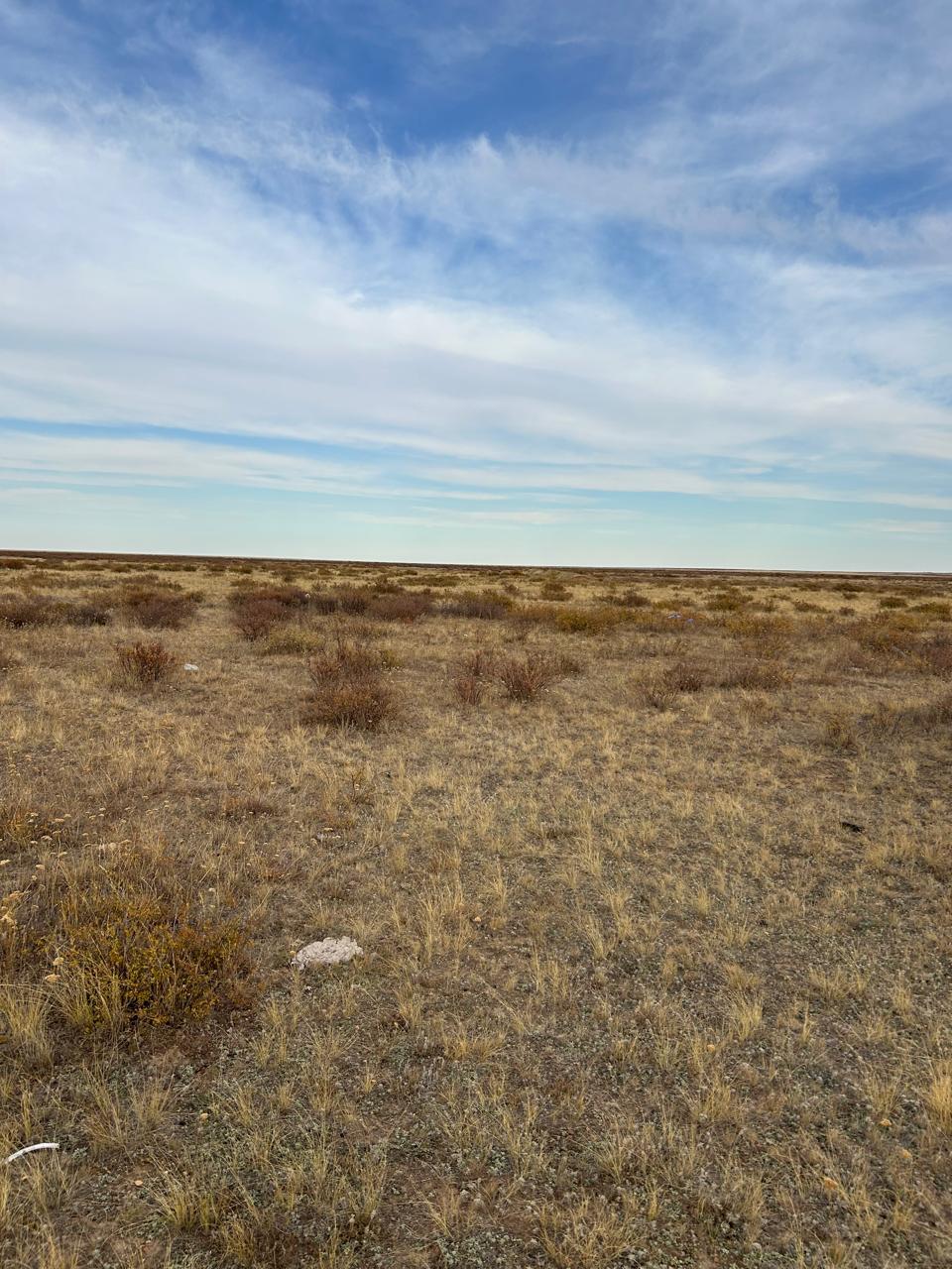 img-3