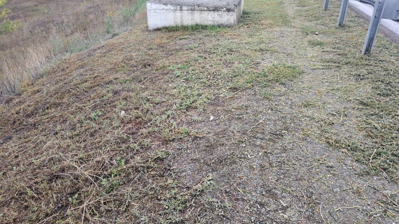 img-1